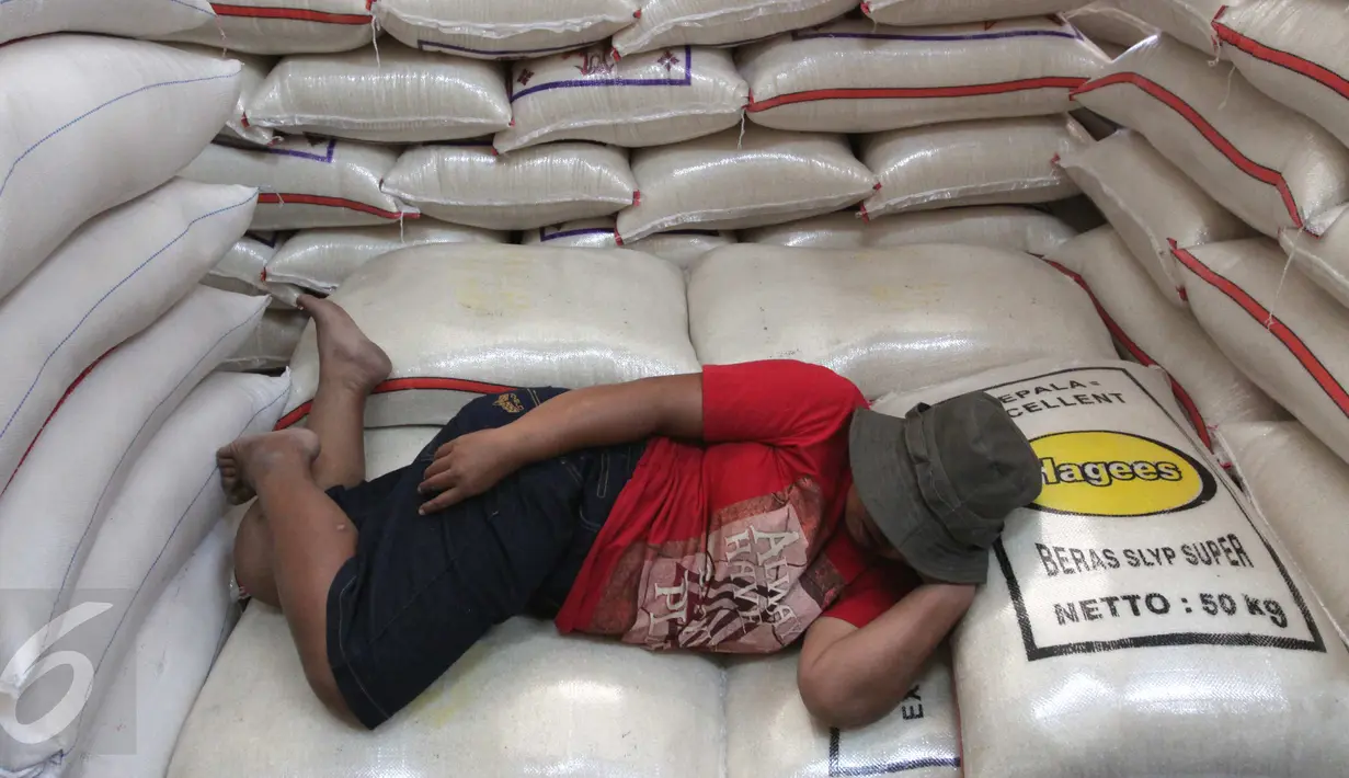 Seorang pekerja tertidur di tumpukan beras, Pasar Induk Cipinang, Jakarta, Jumat (18/9/2015). Harga beras mengalami kenaikan hingga 14 persen dari harga tahun lalu karena melonjaknya biaya produksi mencapai 20 persen. (Liputan6.com/Angga Yuniar)
