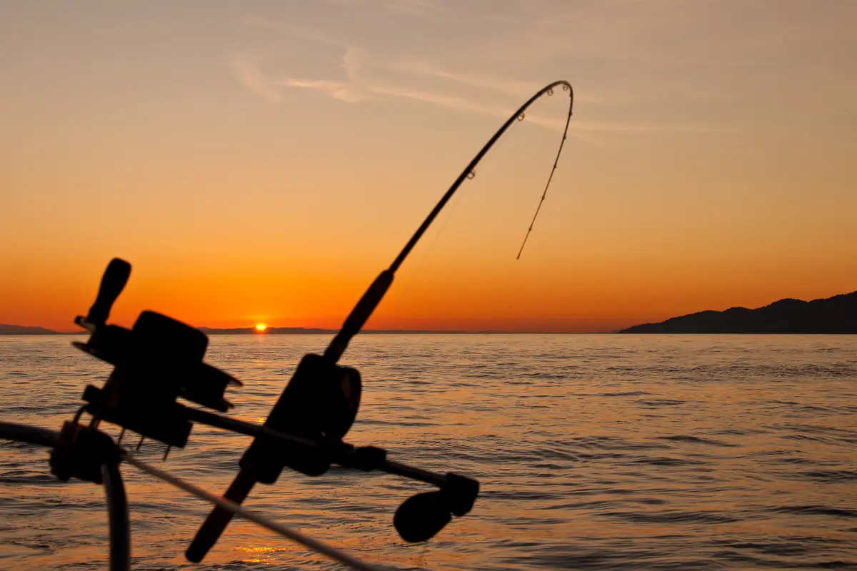 Mancing - Vania