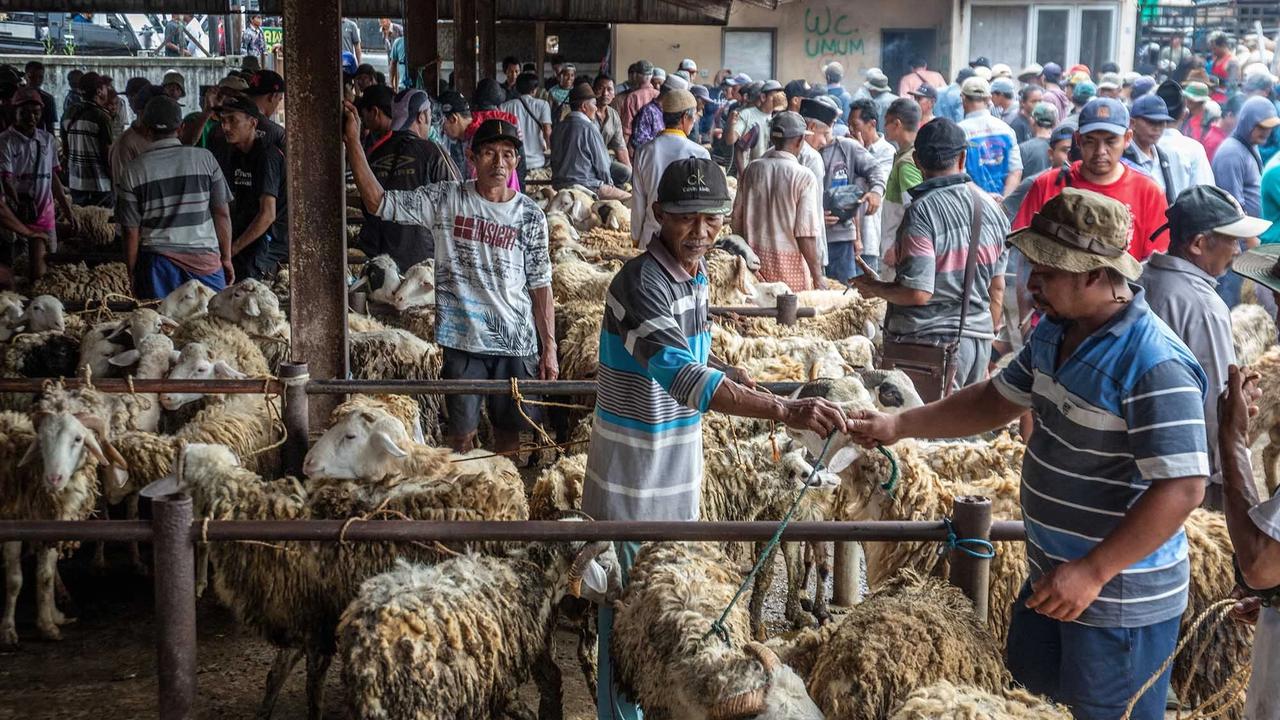 FOTO: Pasar Hewan Ternak Ambarawa Ramai Jelang Idul Adha