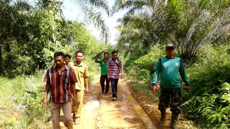 Duel Lawan Beruang Betina Petani Sawit Bersimbah Darah