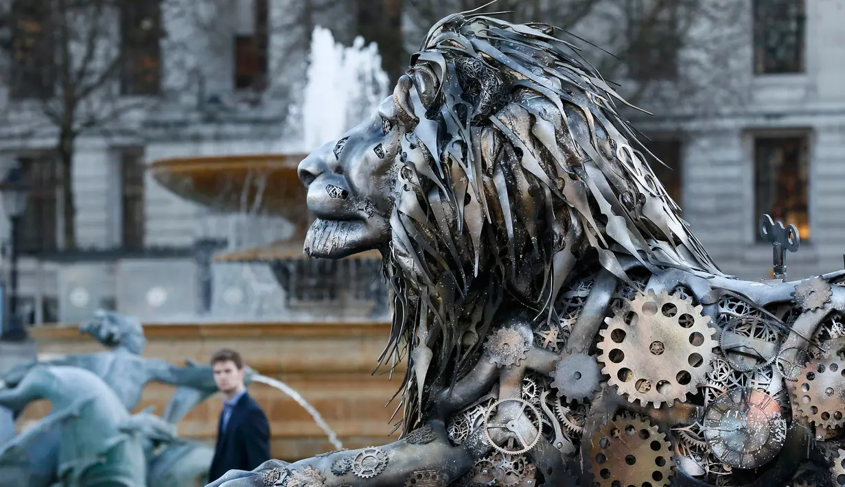 Warga saat melintasi patung singa di Trafalgar Square, London, Inggris, (28/1).   Alasan pemasangan patung ini yaitu untuk menyoroti ancaman terhadap singa yang mulai terancam punah. (REUTERS / Stefan Wermuth)