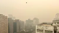 Kabut asap menyelimuti cakrawala kota di New Delhi, India, Jumat, 3 November 2023. (AP Photo/Shonal Ganguly)