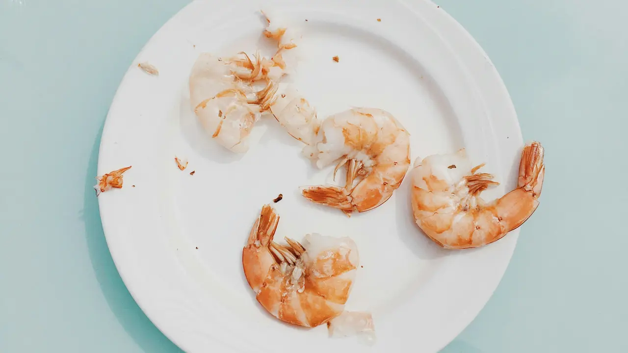Udang-udang