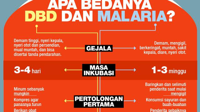 infografis beda DBD dan Malaria