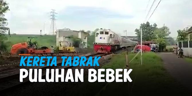 VIDEO: Detik-Detik Kereta Tabrak Puluhan Bebek yang Melintasi Rel di Sidoarjo