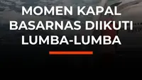 Momen Kapal Basarnas Diikuti Lumba-Lumba