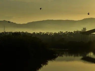 Burung kuntul terbang saat matahari terbit pada Hari Bumi di pantai Kajhu, provinsi Aceh (22/4/2021). Hari Bumi adalah acara tahunan yang dirayakan di seluruh dunia pada 22 April untuk menunjukkan dukungan bagi perlindungan lingkungan. (AFP/Chaideer Mahyuddin)