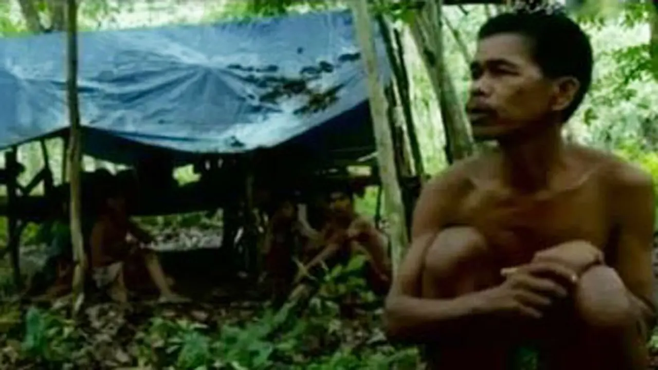 Potret Menembus Batas: Orang Rimba Penjaga Belantara Sumatera
