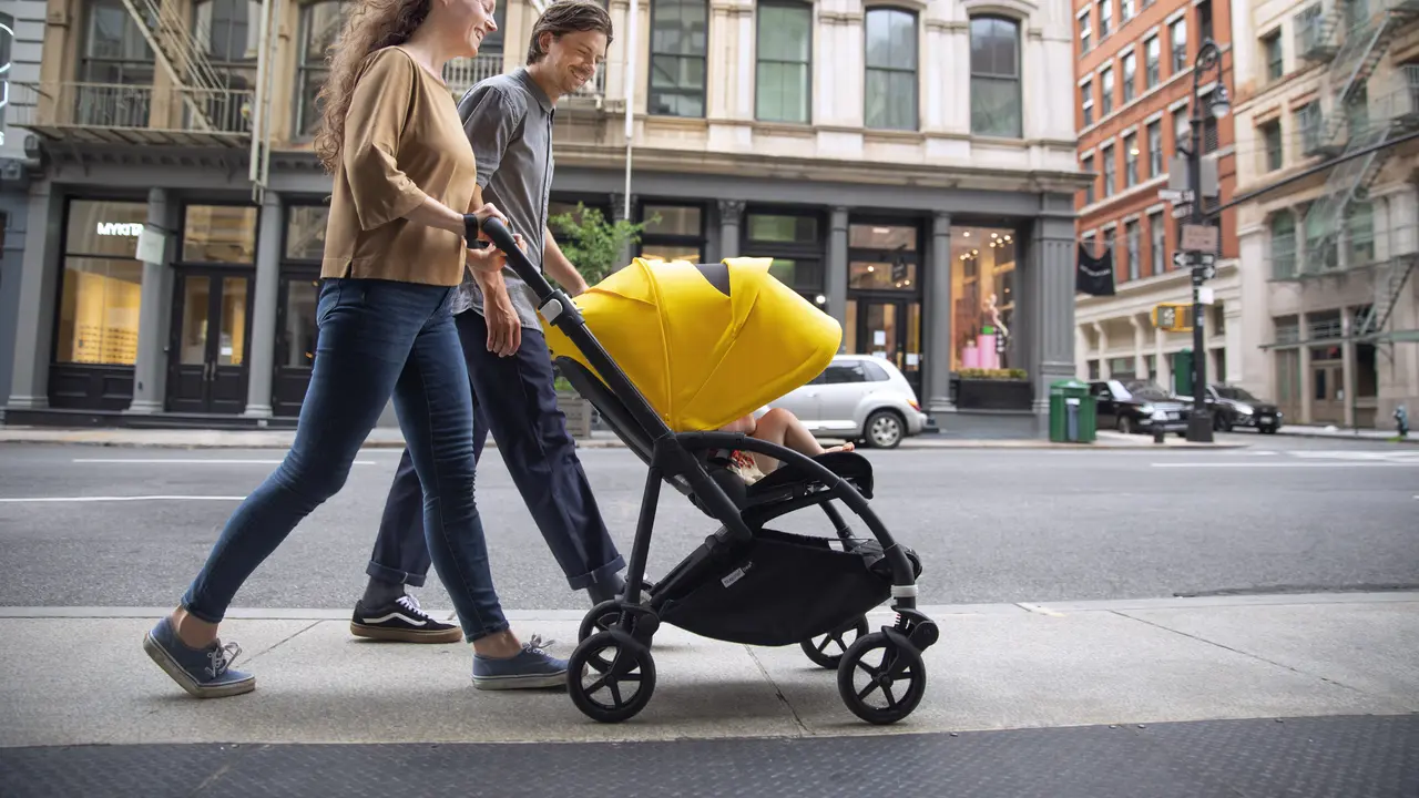 Stroller Bugaboo