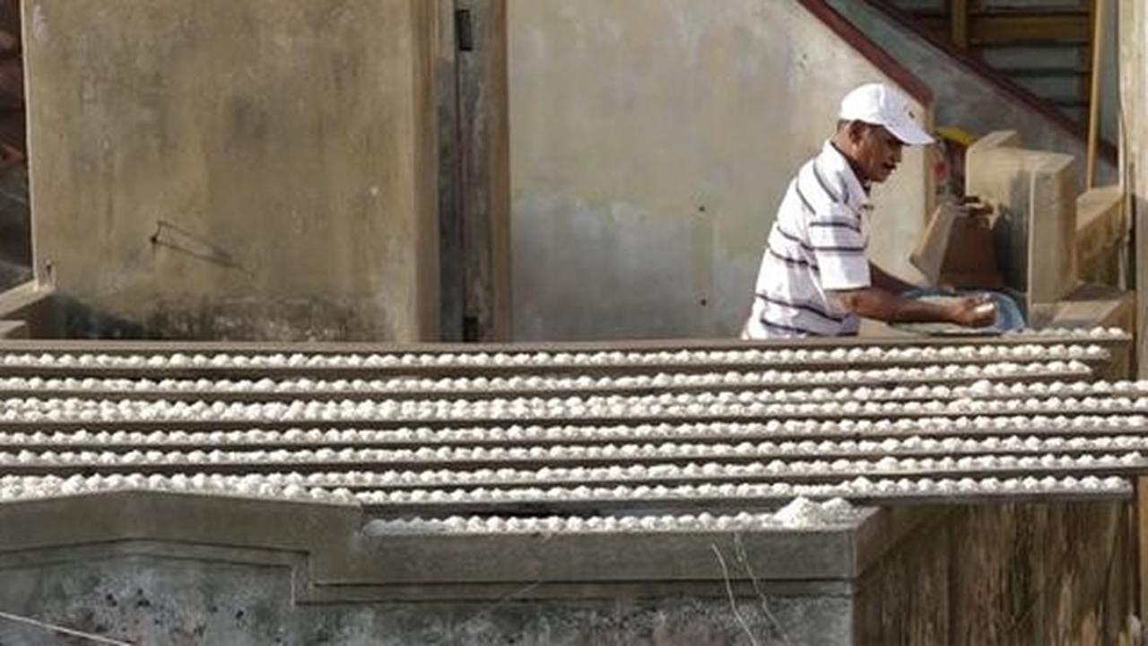 Pria india memberi makan ribuan parkit tiap hari di rumahnya