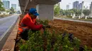 Petugas Sudin Kehutanan Jakarta Selatan melakukan penanaman pohon melati Jepang di bawah jalur MRT Jalan Sisingamangaraja, Jakarta, Kamis (31/10/2019). Penanaman pohon melati Jepang di bawah jalur MRT tersebut untuk penghijauan dan mempercantik tata ruang kota. (Liputan6.com/Faizal Fanani)