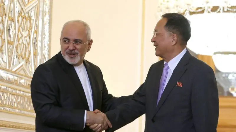 Menteri Luar Negeri Iran Javad Zarif menyambut kunjungan Menlu Korea Utara Ri Yong-ho di Teheran (AFP)