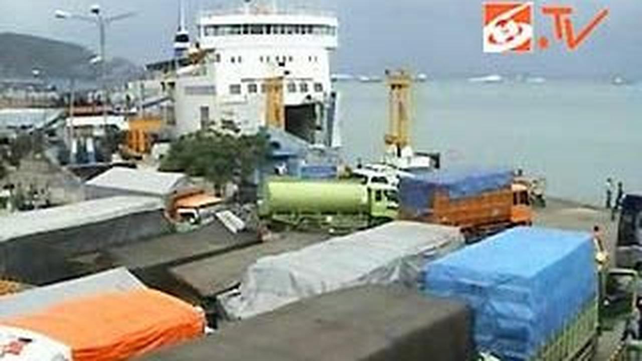 Pernah Menggunakan Pohon Kelapa
