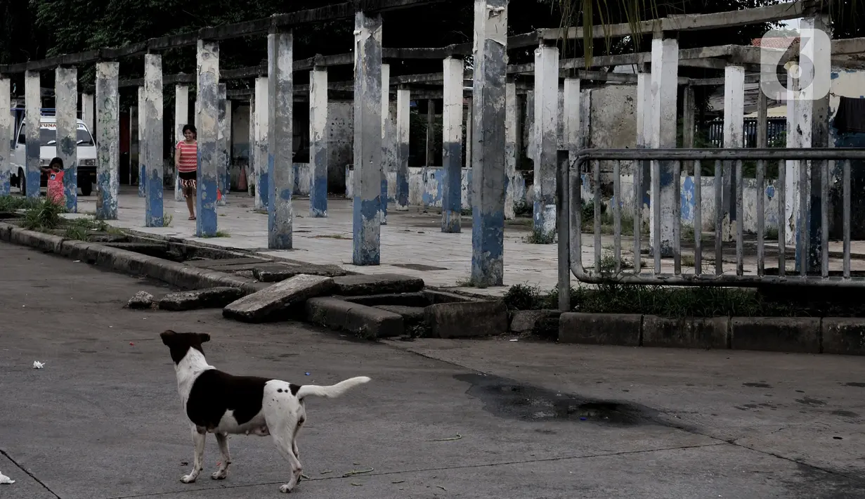 Seekor anjing berada di Terminal Pulogadung yang tidak difungsikan akibat digantikan shelter Bus Transjakarta. Karya foto ini sedang dipamerkan dalam pameran foto dengan tema ”Innovation” di Erasmus Huis. (merdeka.com/Iqbal S Nugroho)