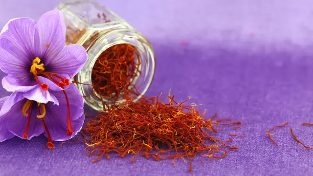 ilustrasi saffron/Gts/shutterstock