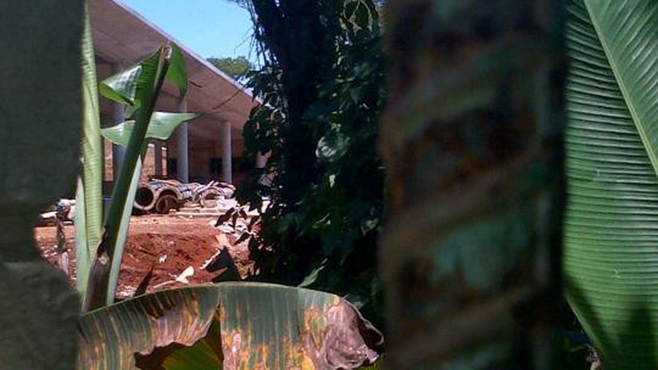 UI babat hutan untuk arena golf