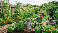 Cara Membuat Menara Cacing dari Pipa PVC untuk Kebun Subur