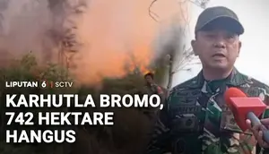 Karhutla Bromo Meluas, 742 Hektare Lahan Hangus