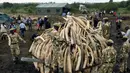 Petugas menumpuk gading gajah yang siap dibakar di Nairobi National Park, Kenya, (20/4). Sebanyak 105 ton gading gajah berhasil diamankan petugas Kenya Wildlife Service (KWS). (REUTERS / Thomas Mukoya) 