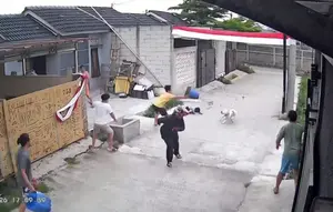 Anjing Pitbull Serang Bocah di Bandung, Terlepas Saat Dijemur