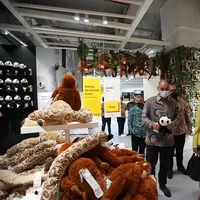 Lebih dekat dengan pusat kota, IKEA hadir di Mal Taman Anggrek dengan konsep baru (IKEA Indonesia)