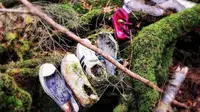 Geger Video Jasad Orang Bunuh Diri di Hutan Angker Aokigahara