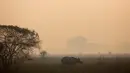 Seekor badak bercula satu berjalan di Suaka Margasatwa Pobitora di negara bagian Assam, India (18/3). Petugas hutan India melakukan sensus menyusul adanya lonjakan jumlah badak bercula satu di India. (AP Photo / Anupam Nath)