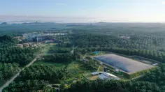 Emiten BWPT Buka Suara Terkait Masalah Investasi Felda