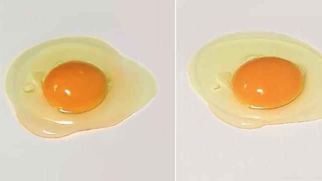 Telur Asli dan Lukisan. Bisakah Anda Bedakan Kedua Gambar di Bawah Ini?