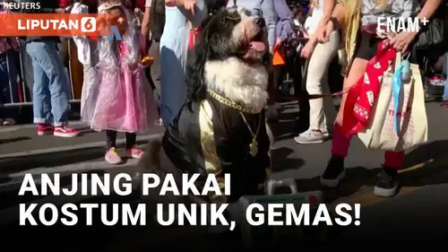 VIDEO: Parade Kostum Anjing Sambut Halloween di New York