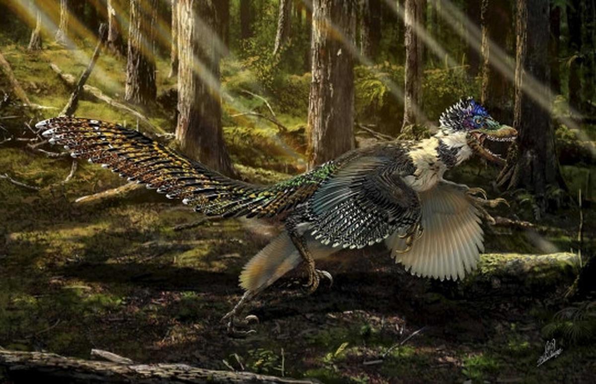 Ini wujud Zhenyuanlong, dinosaurus bersayap yang ditemukan di China