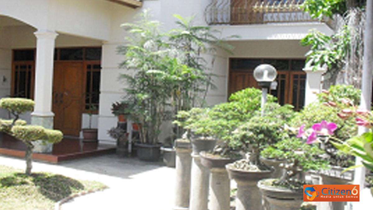 Mencari Bonsai di Tebing Batu, Seni yang Menguji Kekuatan dan Kesabaran