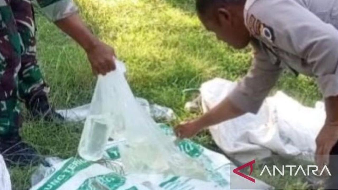 Fakta Unik: 250 Liter Sopi Selundupan Gagal Masuk Maluku, Polisi Amankan di Dermaga