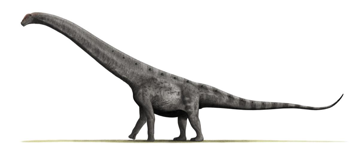 8 Titanosaurus Terbesar: Mengungkap Rahasia Raksasa Zaman Kapur