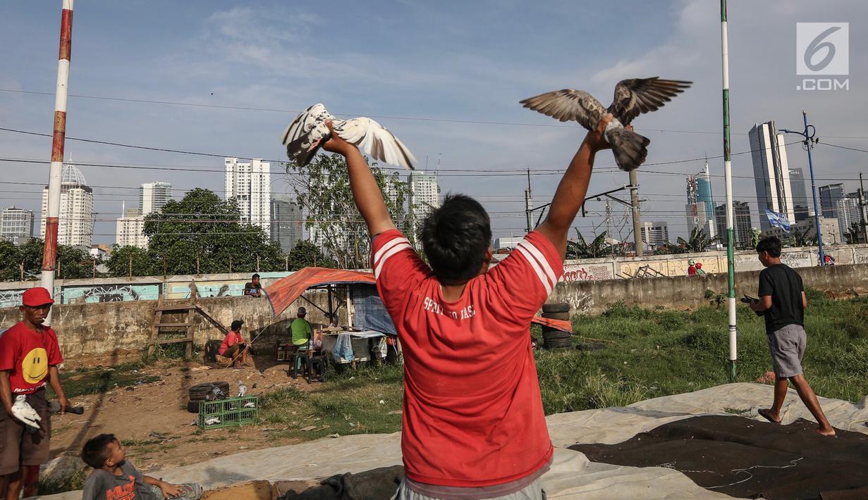 Foto Kepakan Sayap Burung Dara Kolongan Di Langit Jakarta News Liputan6 Com