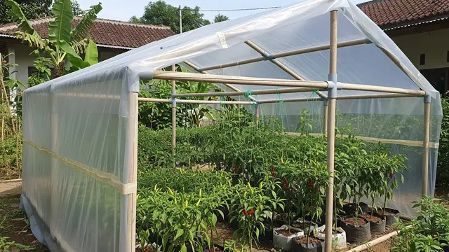Rumah Kaca Mini dari Rangka PVC Bekas dan Plastik UV
