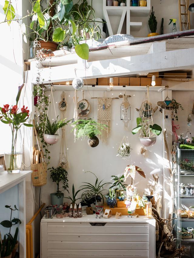 Ilustrasi pot bunga gantung