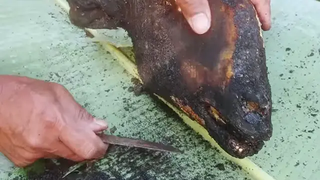 Pembakaran Bulu Kepala Kambing
