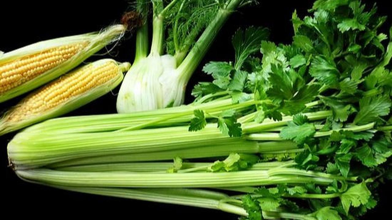 Obat Asam Urat Alami