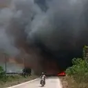 Kebakaran Lapak Kayu Merambat Hanguskan Lahan di Mesuji