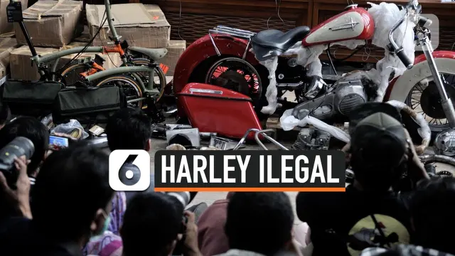 HARLEY ILEGAL