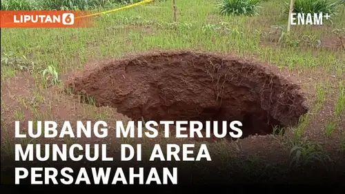 VIDEO: Heboh! 2 Lubang Besar Diduga Sinkhole Muncul di Area Persawahan Gunungkidul