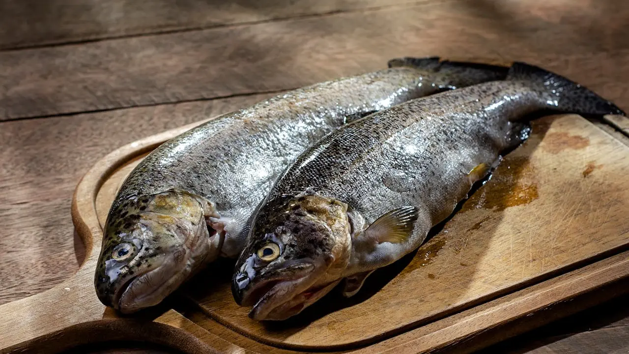 Ilustrasi ikan segar.