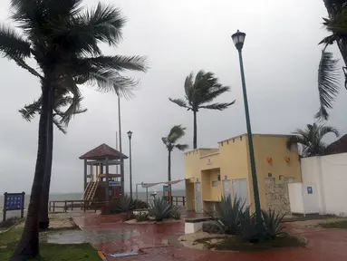 Pohon palem tertiup angin sebelum Badai Agatha mendarat di Huatulco, Negara Bagian Oaxaca, Meksiko pada Senin (30/5/2022). Badai Agatha, yang pertama musim ini, mendarat pada hari Senin di dekat serangkaian resor pantai di Pantai Pasifik Meksiko, di mana penduduk dan turis bersembunyi di tempat perlindungan badai. (Gil OBED / AFP)