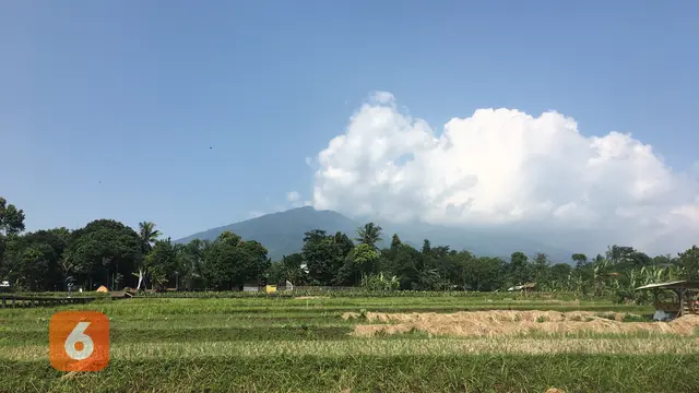 Agro Eduwisata Organik Mulyaharja