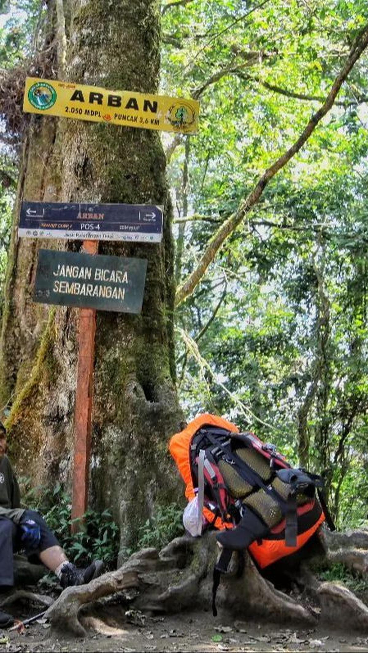 Mbah Yuni mengaku tak mudah mendaki di usia yang tak lagi muda. Selain itu ia harus membutuhkan modal yang tak sedikit untuk mendaki.