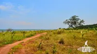 10 Keindahan yang Kamu Dapatkan Saat Ke Pantai Celong