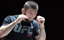 Teguh dengan Keyakinan Agama, Khabib Nurmagomedov Tak Mau Salaman dengan Presenter Wanita di Final Liga Champions