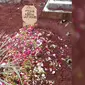 Makam Fitri sang Spiderkid (Liputan6.com/ Pramita Tristiawati)