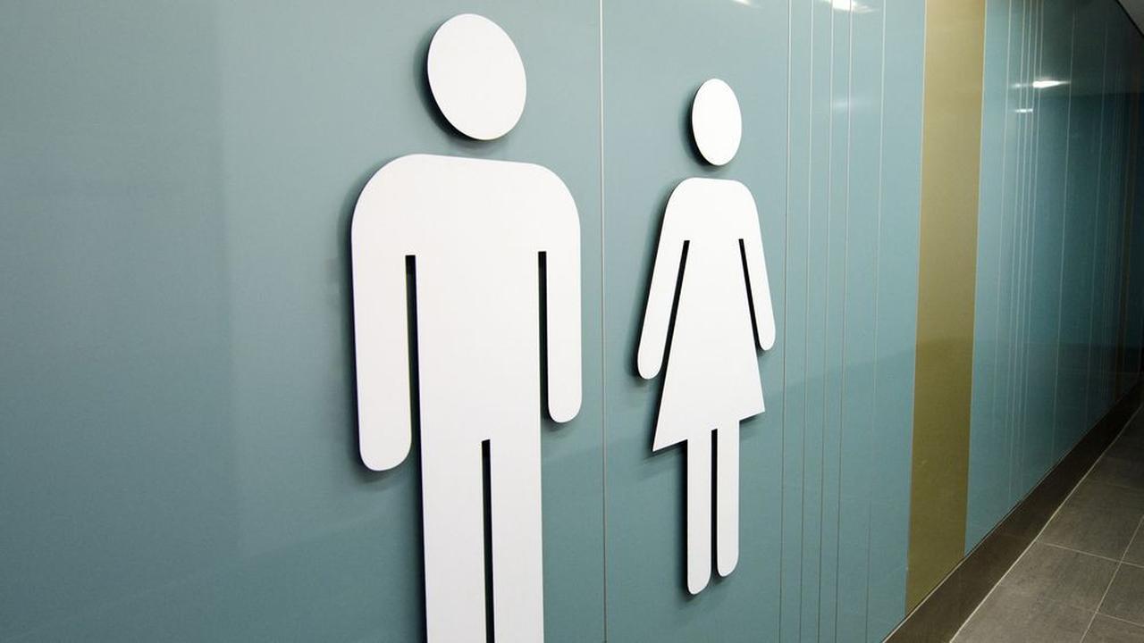 Di Luar Nalar, Toilet Viral di China Hadirkan Bilik Couple, Begini Penampakannya